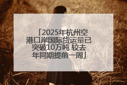 2025年杭州空港口岸国际货运量已突破10万吨 较去年同期提前一周