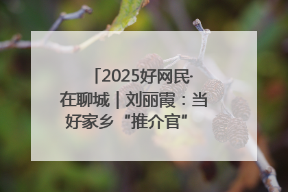 2025好网民·在聊城｜刘丽霞：当好家乡“推介官” 秀出乡村新风貌