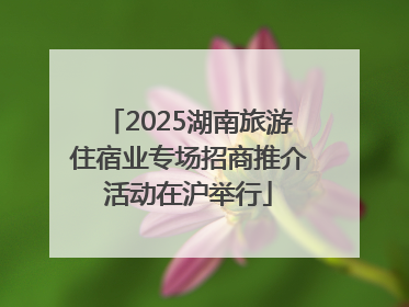 2025湖南旅游住宿业专场招商推介活动在沪举行