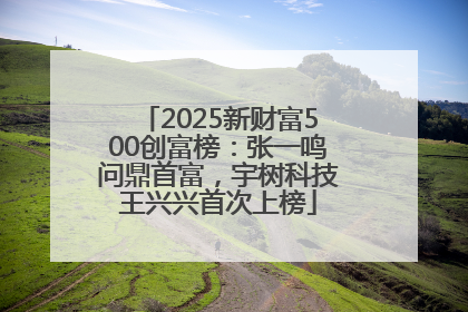 2025新财富500创富榜：张一鸣问鼎首富，宇树科技王兴兴首次上榜