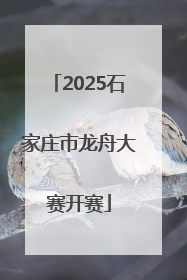 2025石家庄市龙舟大赛开赛