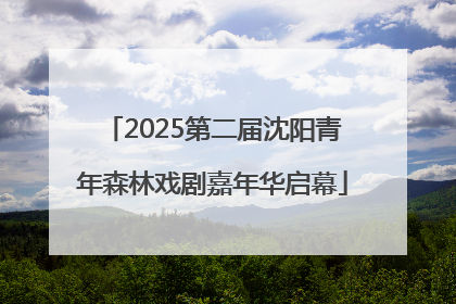 2025第二届沈阳青年森林戏剧嘉年华启幕