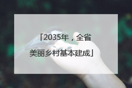2035年，全省美丽乡村基本建成
