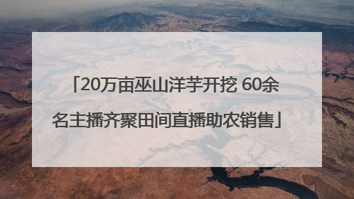 20万亩巫山洋芋开挖 60余名主播齐聚田间直播助农销售