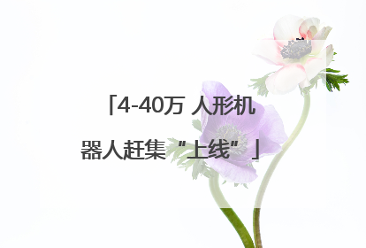4-40万 人形机器人赶集“上线”