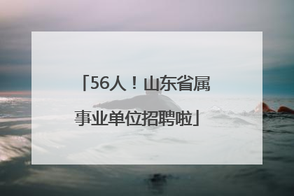 56人！山东省属事业单位招聘啦