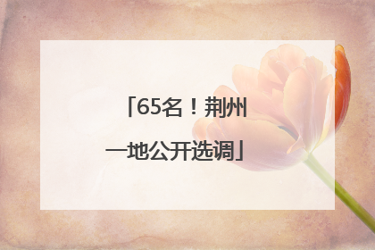 65名！荆州一地公开选调