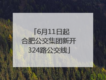 6月11日起 合肥公交集团新开324路公交线