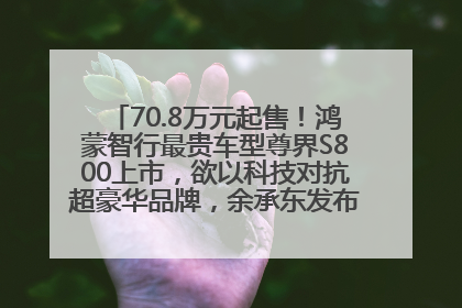 70.8万元起售！鸿蒙智行最贵车型尊界S800上市，欲以科技对抗超豪华品牌，余承东发布会未提及迈巴赫
