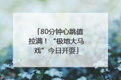 80分钟心跳值拉满！“极地大马戏”今日开耍