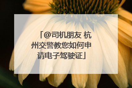 @司机朋友 杭州交警教您如何申请电子驾驶证