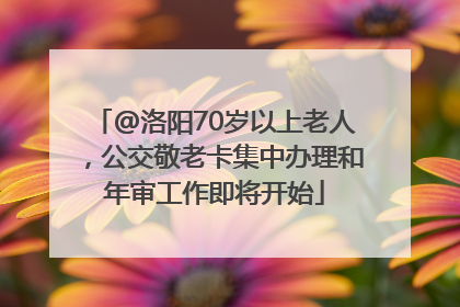 @洛阳70岁以上老人，公交敬老卡集中办理和年审工作即将开始