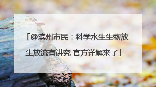 @滨州市民：科学水生生物放生放流有讲究 官方详解来了