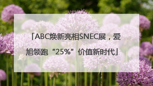 ABC焕新亮相SNEC展，爱旭领跑“25%”价值新时代
