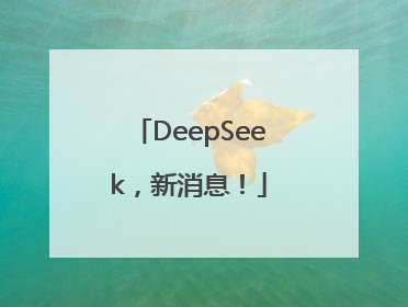 DeepSeek，新消息！
