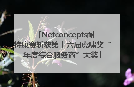 Netconcepts耐特康赛斩获第十六届虎啸奖“年度综合服务商”大奖